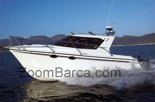 Arrowcat 30 scheda tecnica e recensioni